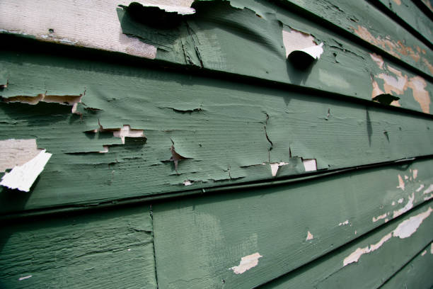 Siding for New Construction in Ester, AK