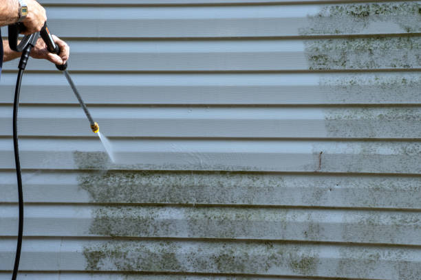 Professional Siding Installation & Repair in Ester, AK